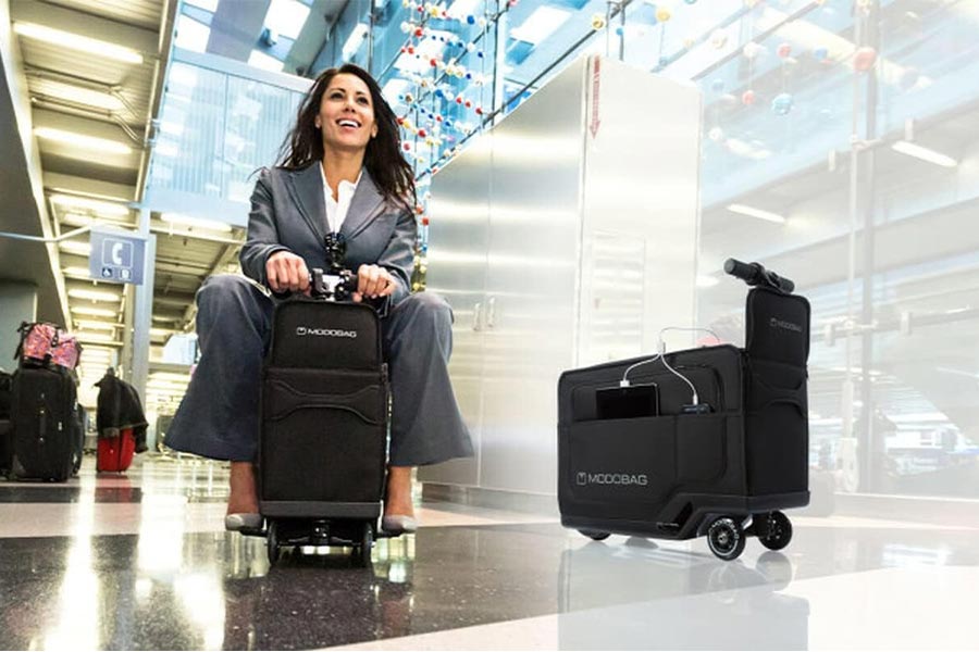 今日はちょっと特別、大人が乗れるキャリーケースを紹介！